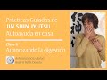 Práctica Guiada 6 JIN SHIN JYUTSU. Armoniza tu DIGESTIÓN (física -mental- emocional)