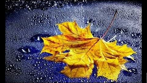 Listen to the Rain (Enya)