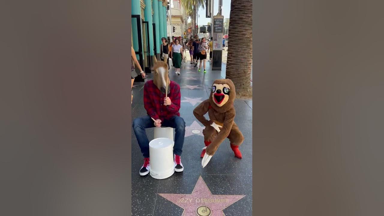 Buckets the Drummer and OnlySloths perform "Baby Got Back" on the