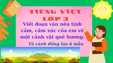 Viết đoạn văn nêu tình cảm, cảm xúc của em về một cảnh vật quê hương. - tả cánh đồng lúa - Lớp 3
