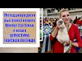 ВЫСТАВКА КОШЕК в МОСКВЕ  Winter Cat Show 2022  и наша Тайская кошка Целестина Тайская Легенда  !