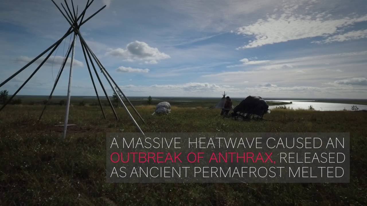 Investigation Of Impact Of Climate Change In Yamal Peninsula