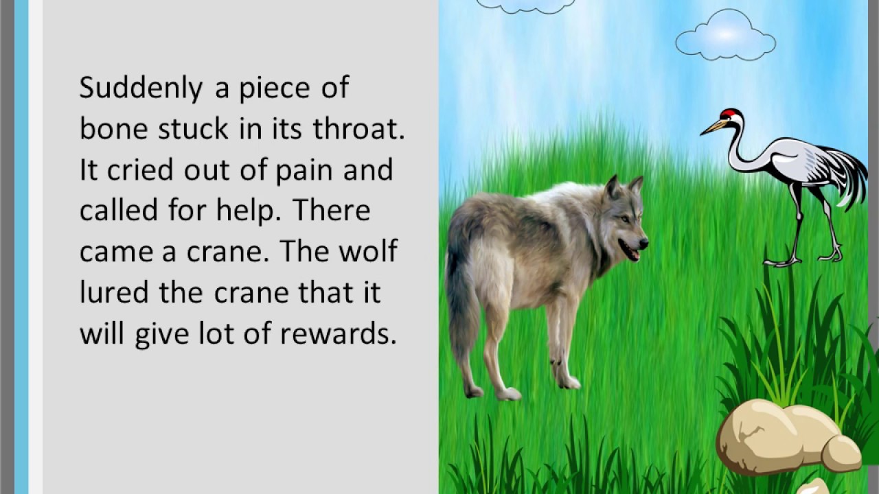 The Crane and the wolf Read Aloud Story Kindergarten YouTube
