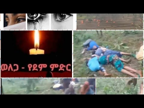 Video: Övergångsstrategier För Livsmedelsförsäkrade Småbrukarhushåll: Fallet Ilu Gelan District, West Shoa Zone, Oromia Reginal State, Etiopien