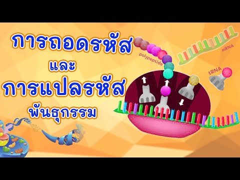 วีดีโอ: การควบคุมรีเอเจนต์คืออะไร?