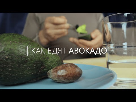 Video: Эвглена кантип жейт?