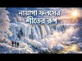 নায়াগ্রা ফলসের শীতকালীন রূপ | কিভাবে বরফে ঢেকে যায় পৃথিবীর এই বিখ্যাত জলপ্রপাত?