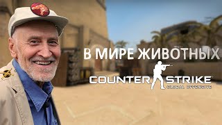 В мире животных Counter-Strike: Global Offensive В мире животных Counter-Strike: Global Offensive