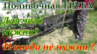 Поливочная труба для винограда. Убрать нельзя оставить !