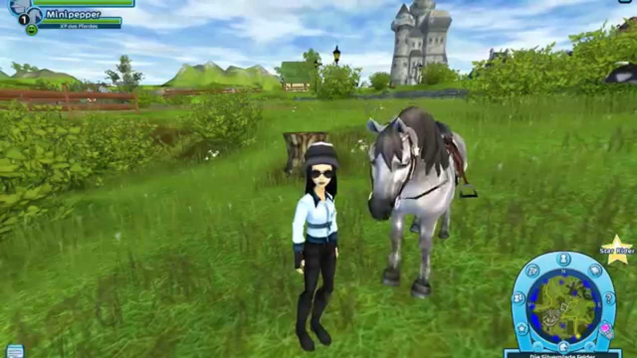 American Quarter Horse kaufen SSO YouTube