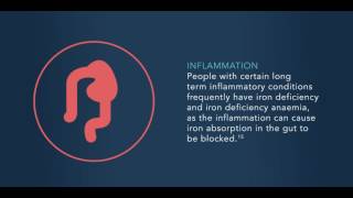 What are the causes of iron deficiency and iron deficiency anemia?