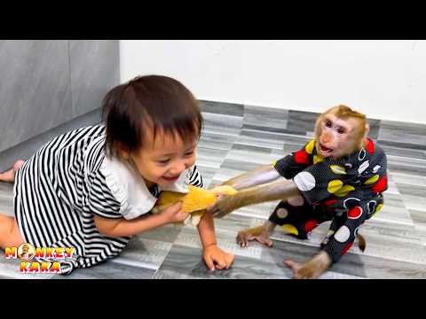 Monkey Kaka and Diem are fighting over each other's stuffed animals.