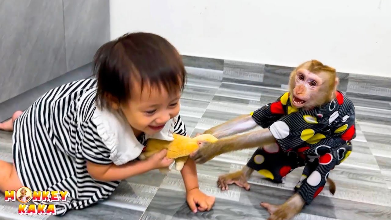 Обезьянка Кака и Дием ссорятся из-за плюшевых игрушек друг друга.