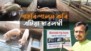 Baruah Pig Farm, Kukuramara || গাহৰি পালন কৰি এটিয়া স্বাৱলম্বী || Pig Farming is profitable