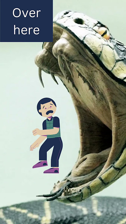 🤯Giant snake swallows man whole! 😲