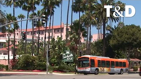 O que significa Beverly Hills em português?