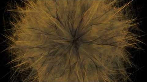 Procedural Art Generation In Processing