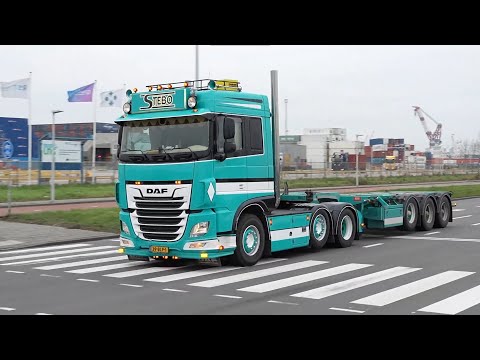 MDO - Te quise olvidar - En Concierto