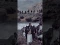 اقول ياراعي الوفاء والمواجيب يفداك يا رمز الكرم كل خايب الشيخ يحيى بن صالح الضبياني اكسبلور شعر 