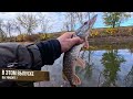 Взял удочку и мальков и пошёл рыбалить на реку встретил юного рыбака дал ему снасть поймал щуку