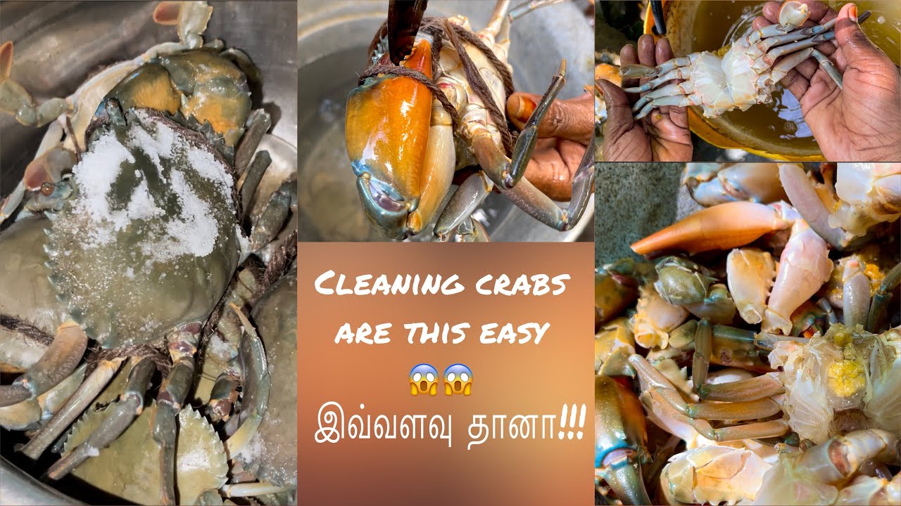 how-to-clean-live-crabs-river-crab