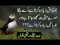 Aqwal e zareen in urdu  hindi urdu  quotes about life