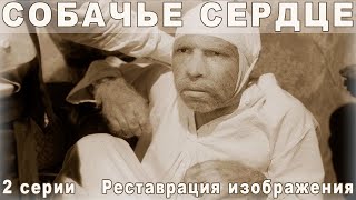 Собачье сердце | Фантастика. Комедия. Драма | Реставрация | 2 серии.