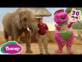Animal Fun With Barney Taking Care Of Animals Compilation Barney The Dinosaur 