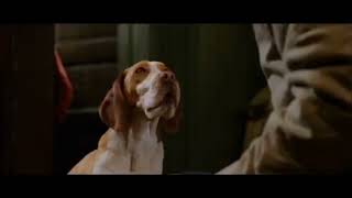 Disney Dvd Website Clip Underdog