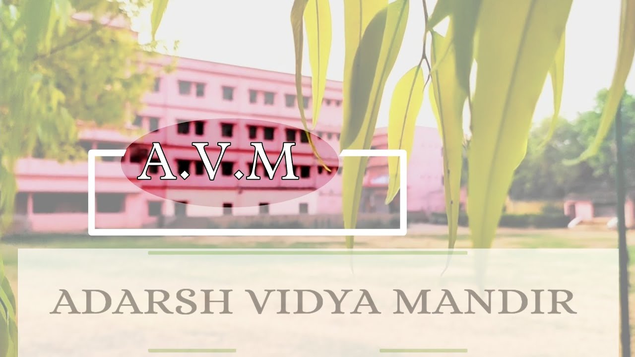 | 🔺️Our school ⛪🔻|Adarsh Vidya mandir Chas bokaro Promotion video #bokaro #promo #school