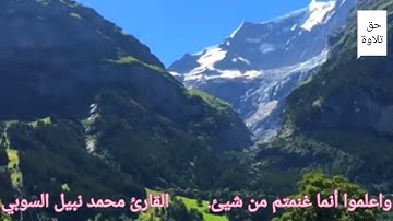 واعلموا أنما غنمتم من شيئ القارئ #محمد_نبيل_السوبي