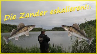 Raubfischangeln mit Köderfisch schaff ich das Tripel und kann Hecht, Zander und Barsch fangen?