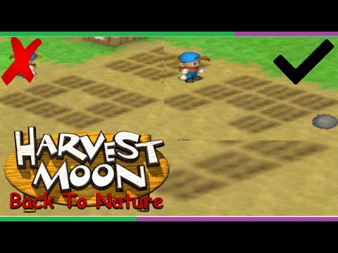 Video: Harvest Moon Dan Berkebun: Adakah Harvest Moon Mempengaruhi Tumbuhan