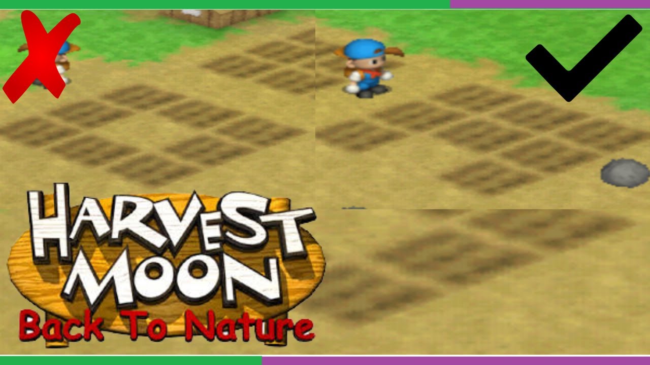 Gambar Tips Mengolah Lahan Kebun