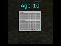 Chest At Different Ages(World Smallest Violin) #shorts #keşfet #viral #minecraft