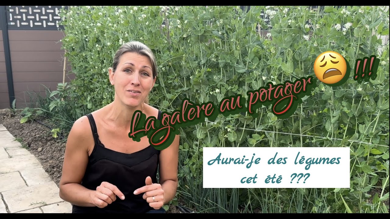 La galère au potager!!! Aurai-je des légumes cet été?