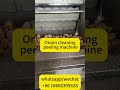 Automatic Onion Cleaning and Peeling Machine | High-Efficiency Onion Peeler for Commercial Use