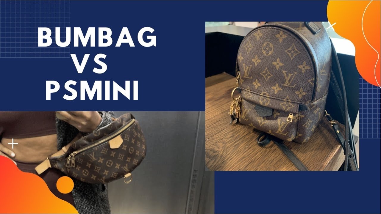 Louis Vuitton Bumbag Vs Palm Spring Mini