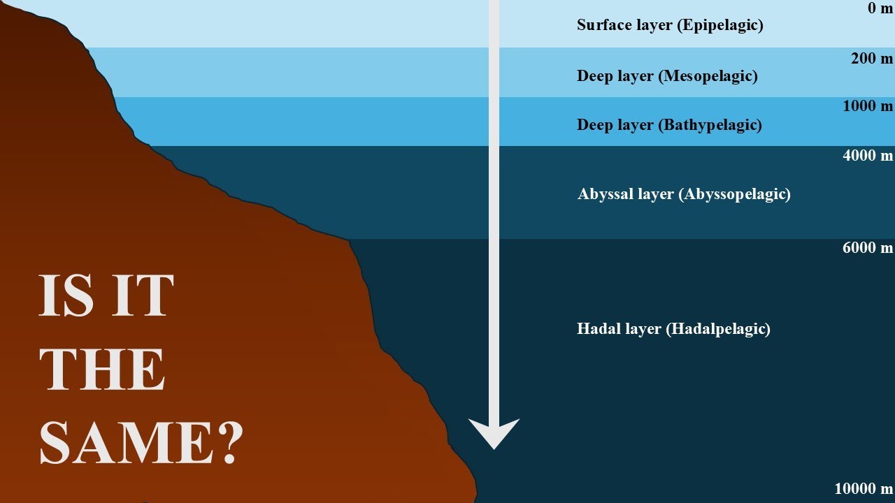 Deep Ocean Chemistry: What Happens to the water?
