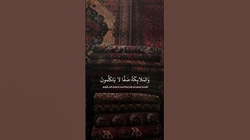 يوم يقوم الروح - #علي_جابر - #سورة_النبأ #حالة_واتس