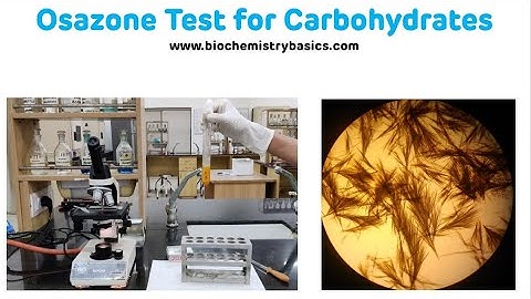 Osazone Test For Carbohydrates with Demonstration || Osazone Formation