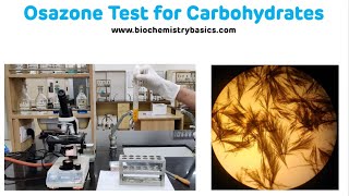 Osazone Test For Carbohydrates with Demonstration || Osazone Formation