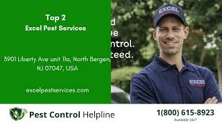 Top 3 Pest Control in Florence