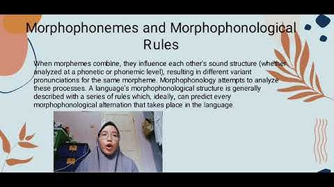 Morphophonemic 🌼🌻