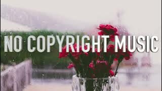 Back To Vik - Music For Content Creators (No Copyright)