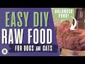 How to make balanced homemade dogcat food in 15 minutes  the bk pets dog  cat food recipes