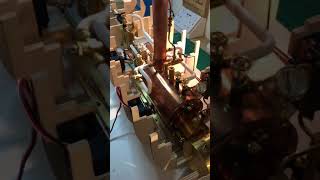 IMG 2229