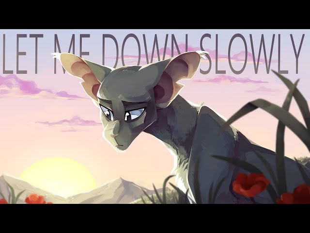 Let Me Down Slowly | Complete Crowfeather Weekend MAP (Hosted by Draikinator) (CW)