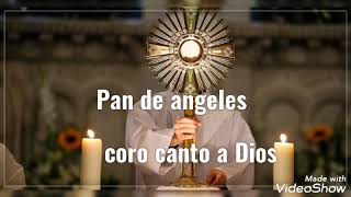 Video thumbnail of "Pan de angeles - letra - coro canto a Dios - canto para comunión tiempo ordinario"