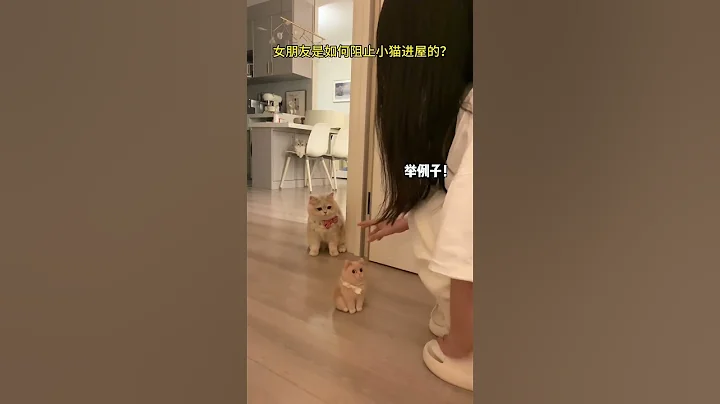 女朋友是如何阻止小貓進屋的！ - 天天要聞
